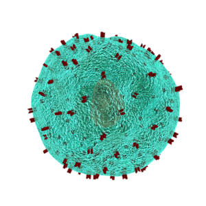 T-cell immunity found in SARS-CoV-2 infected individuals and close contacts who never experienced detectable infection