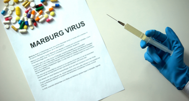 Marburg: WHO, Media Condition Public for Onslaught of Hemorrhagic Fever Caused by the COVID Vaccines