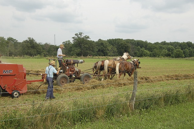 How the Amish reached herd immunity without long-term lockdowns, masking, and vaccines