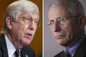 Fauci and NIH Chief Colluded to Discredit Three Experts Who Penned the Great Barrington Declaration