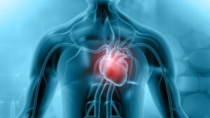 JAMA study shows 133x risk of myocarditis following COVID vaccination