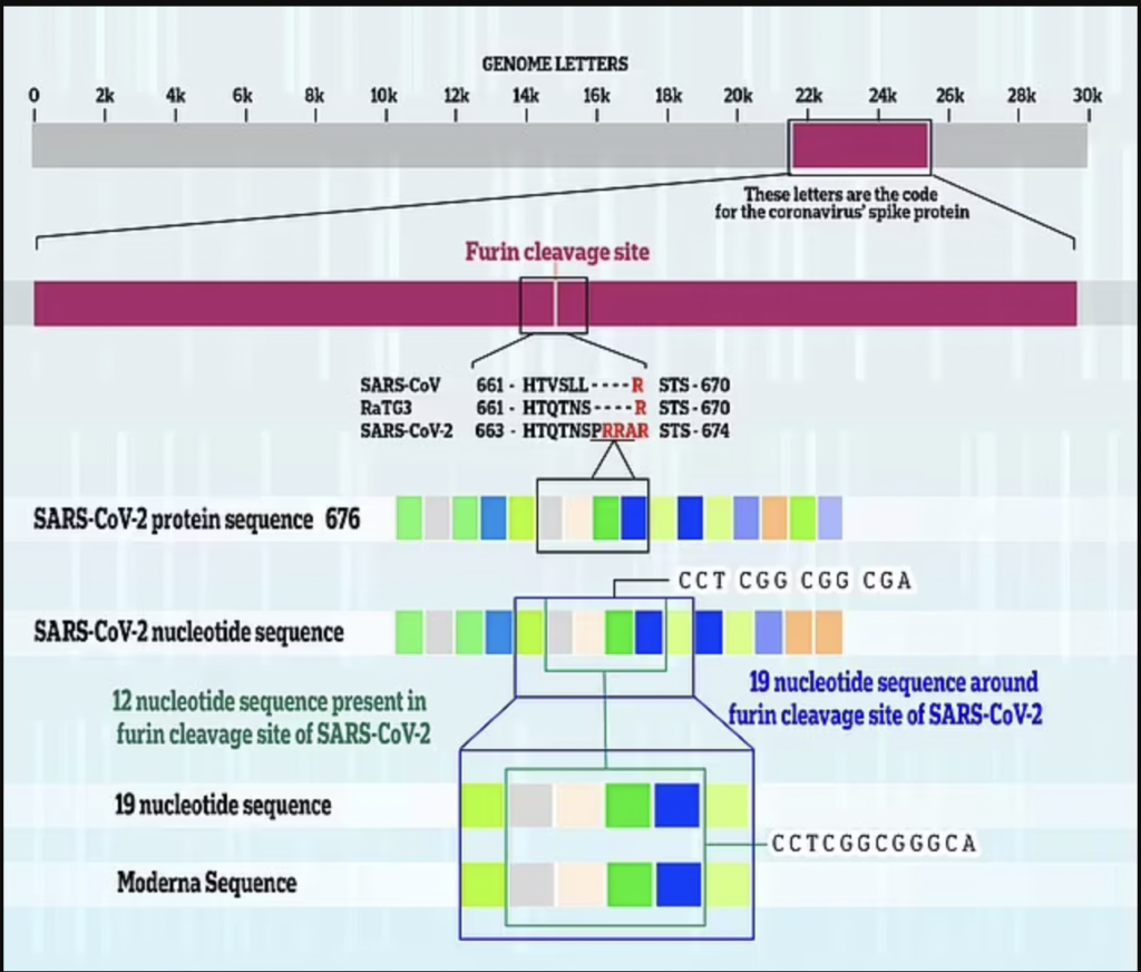 New Evidence Showing SARS-CoV-2 Created in Law: Genetic Match in COVID and Gene Sequence Patented by Moderna