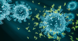 Is the Waning Antibodies a Sign of Lost Immunity?