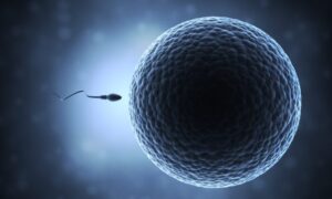 Another Conspiracy Theory Comes True:  Study Shows Pfizer Shots Impairs Sperm Count