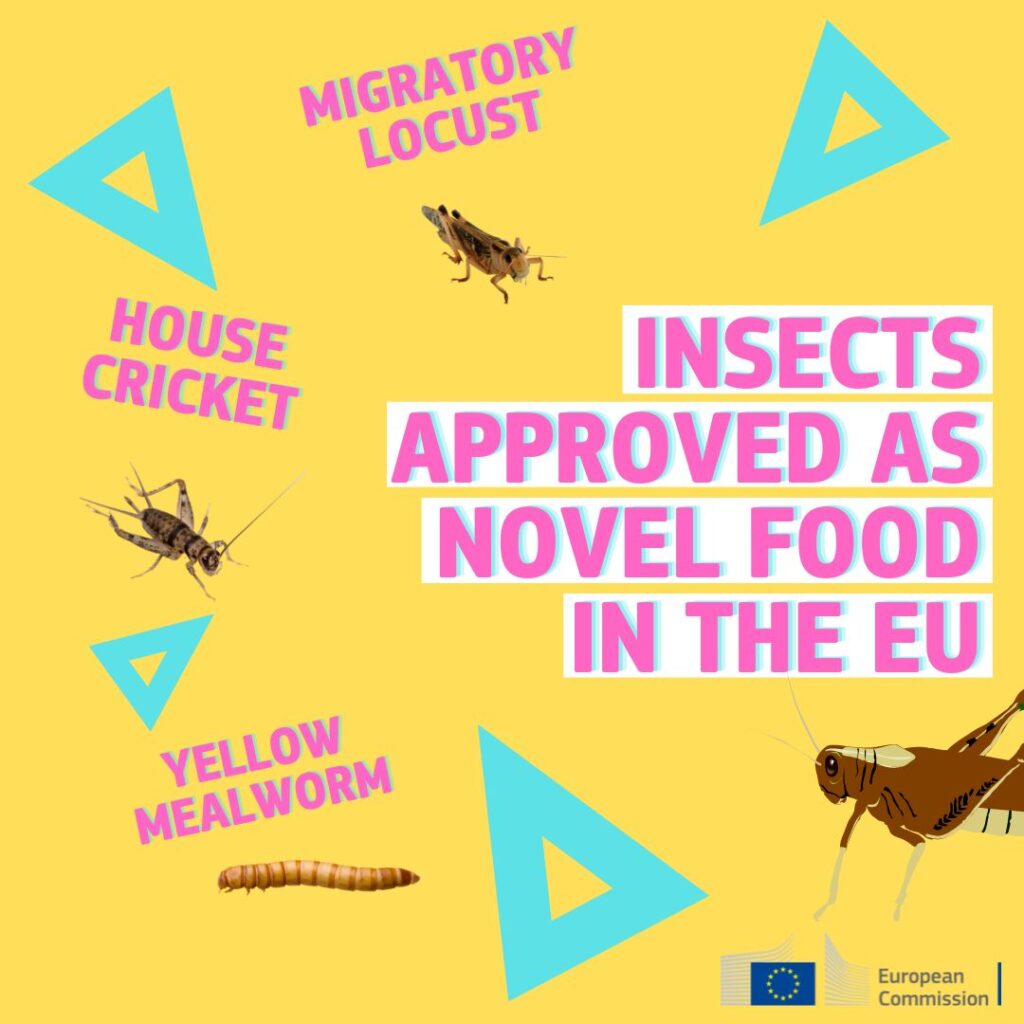 European Commission Promotes Insect Consumption For Environmental Sustainability