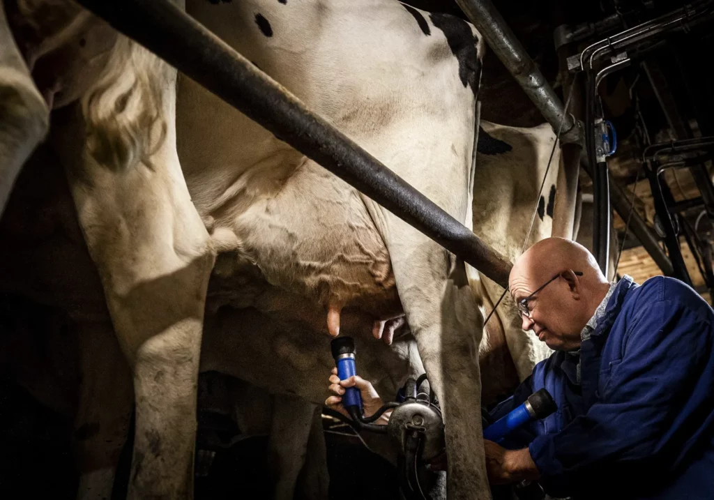 Netherlands’ Minister for Agriculture Resigns After Failing To Quell Dutch Farmer Protests