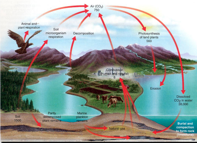 A Call for Balanced Scientific Debate on the Climate Change Narratives by Randall Carlson