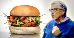 Bill Gates’ Foray into Insect-Based Foods